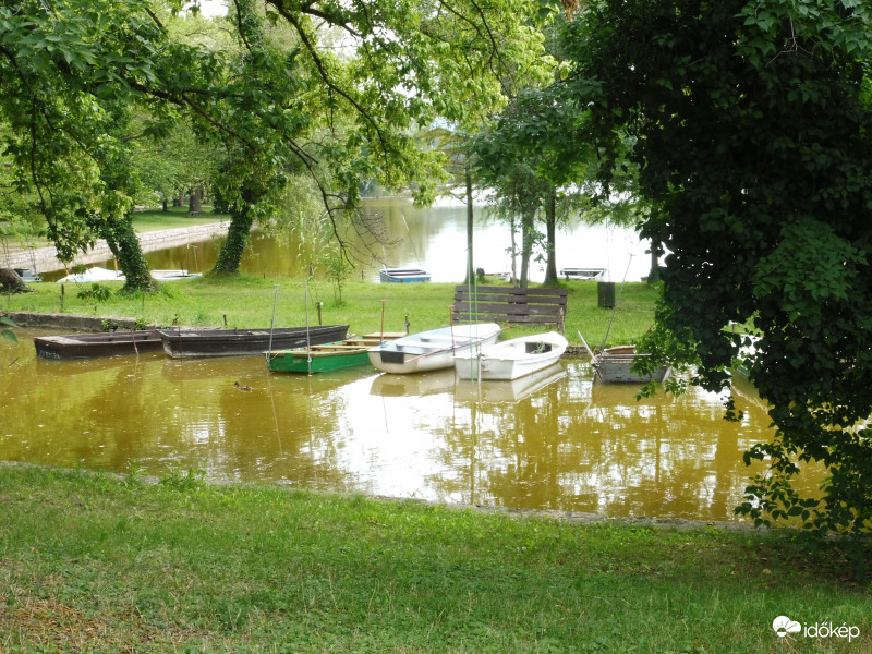 A csend és a színek világa