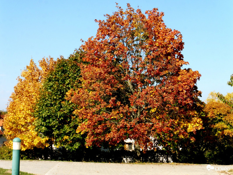 Variációk egy témára