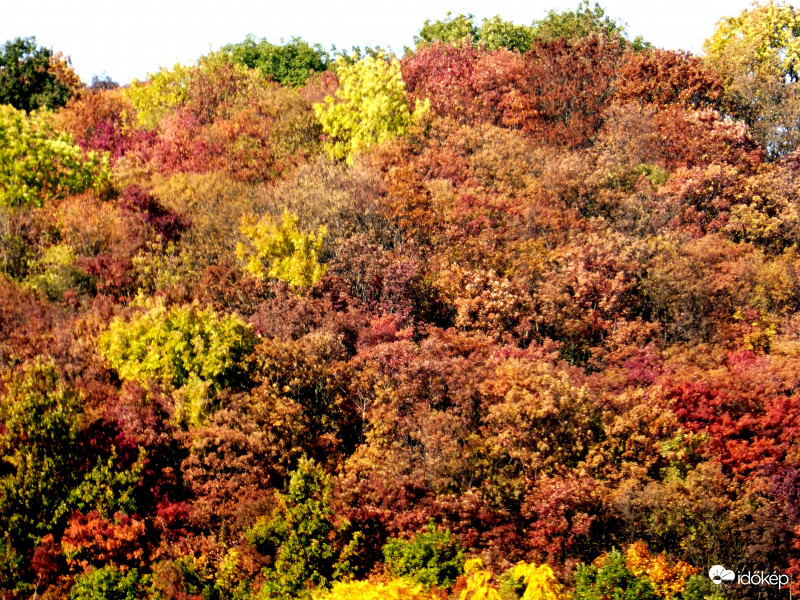 Festett hegyoldal, nyáron tán észre sem veszed