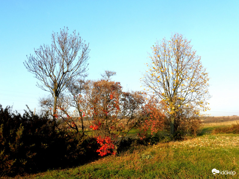 Maradtak még színek