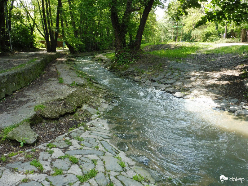 Csacsogva rohanó Bükkös patak