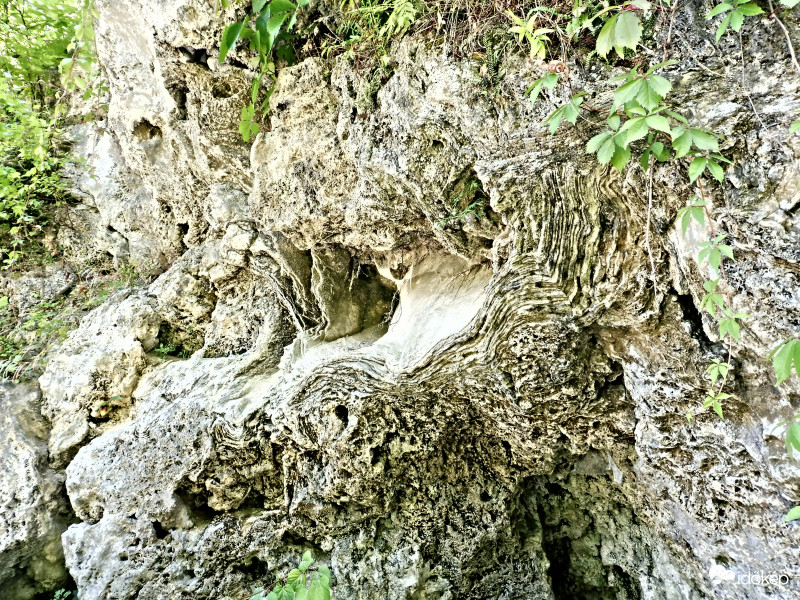 Földünk múltjáról mesélő kőzet "hullámok"