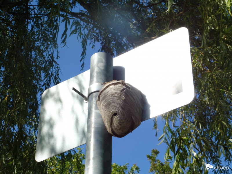 Még jó, hogy a felirat a másik oldalon van!