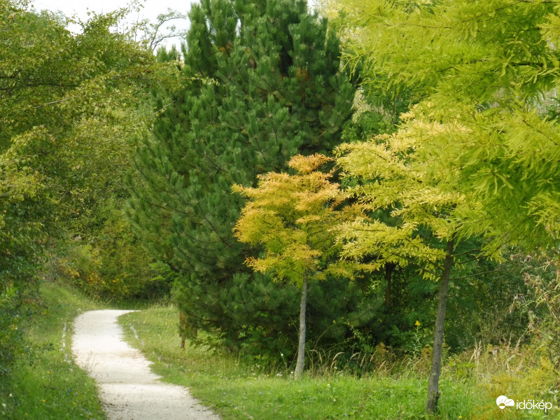 Tavasz, nyár és ősz színei együtt