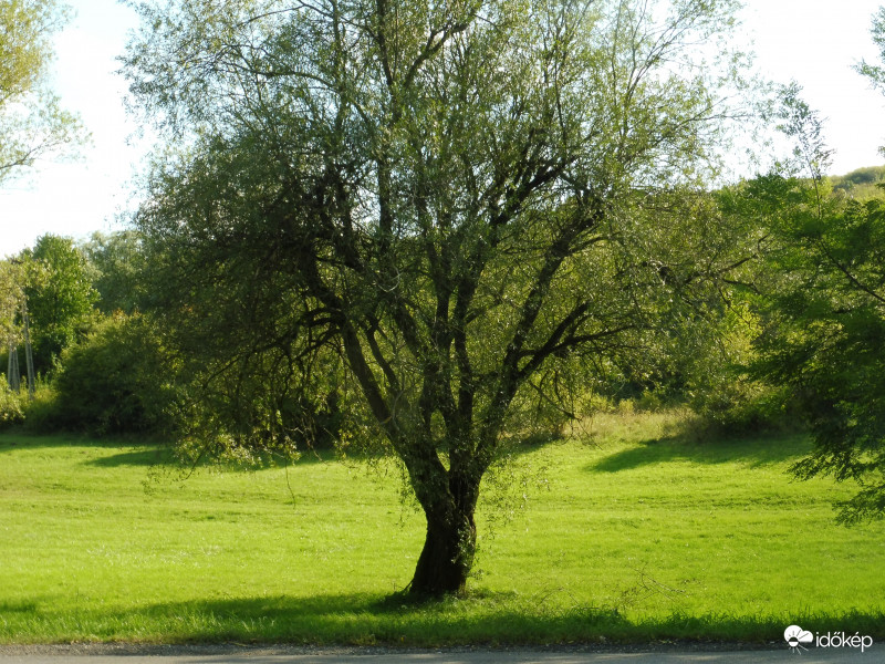 Eső után harsogó zöldek, pedig ez most őszi táj
