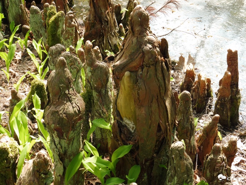 A bölcs tanító tanítványai körében