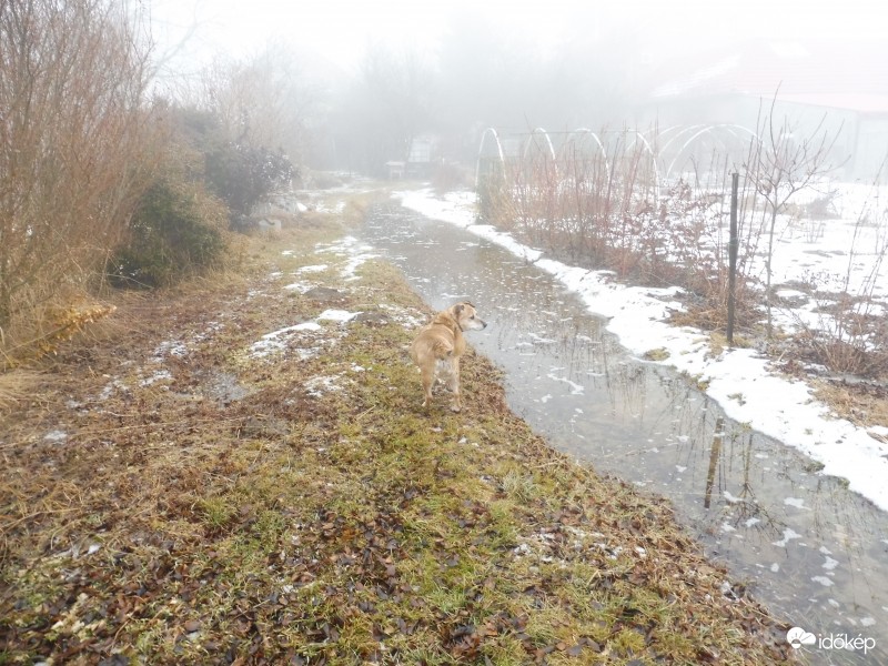 Ez nem patak, hanem az olvadó jég a kertben