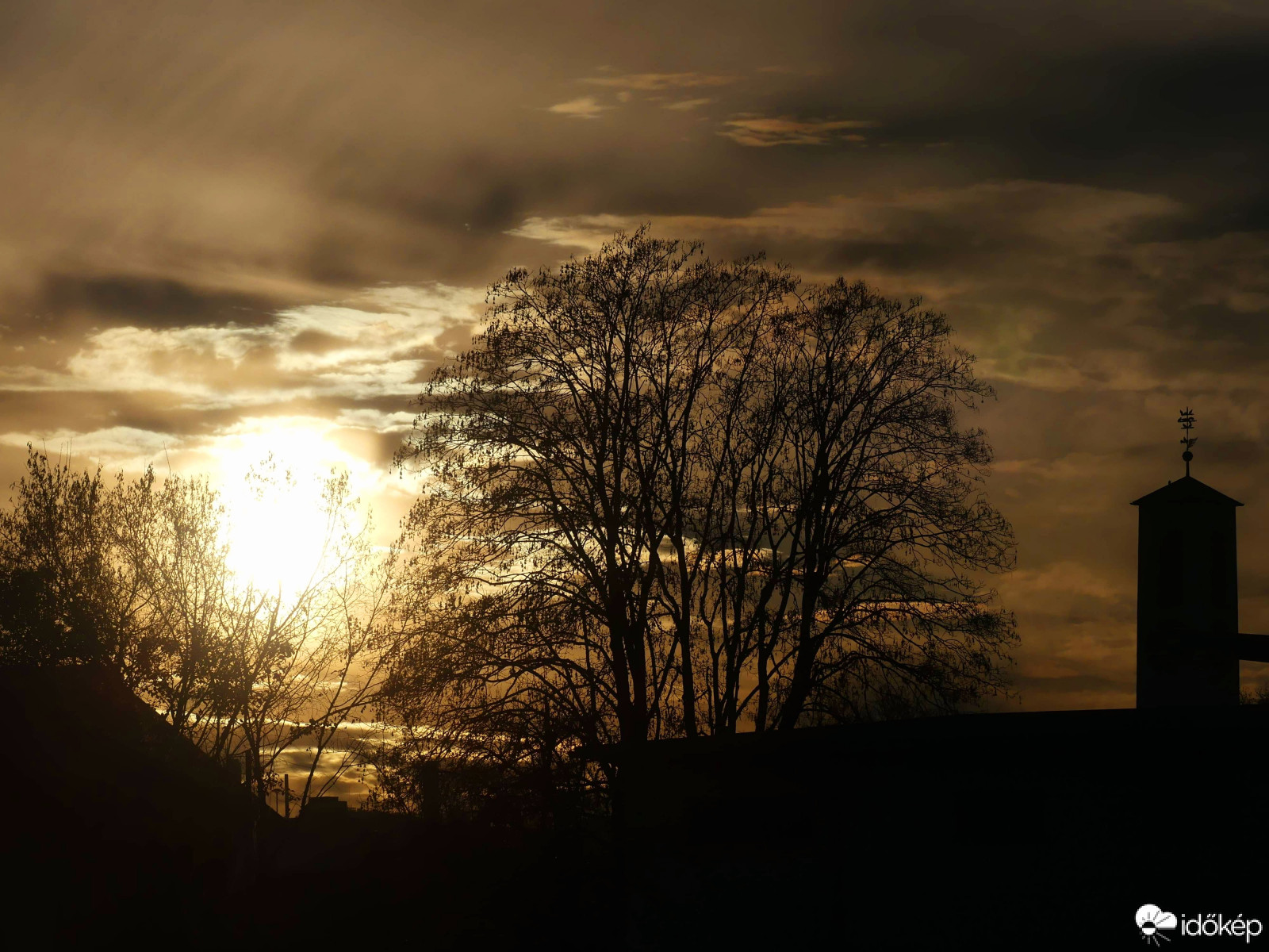 a fa és a naplemente kapcsolata