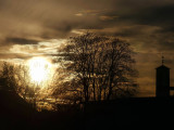 a fa és a naplemente kapcsolata