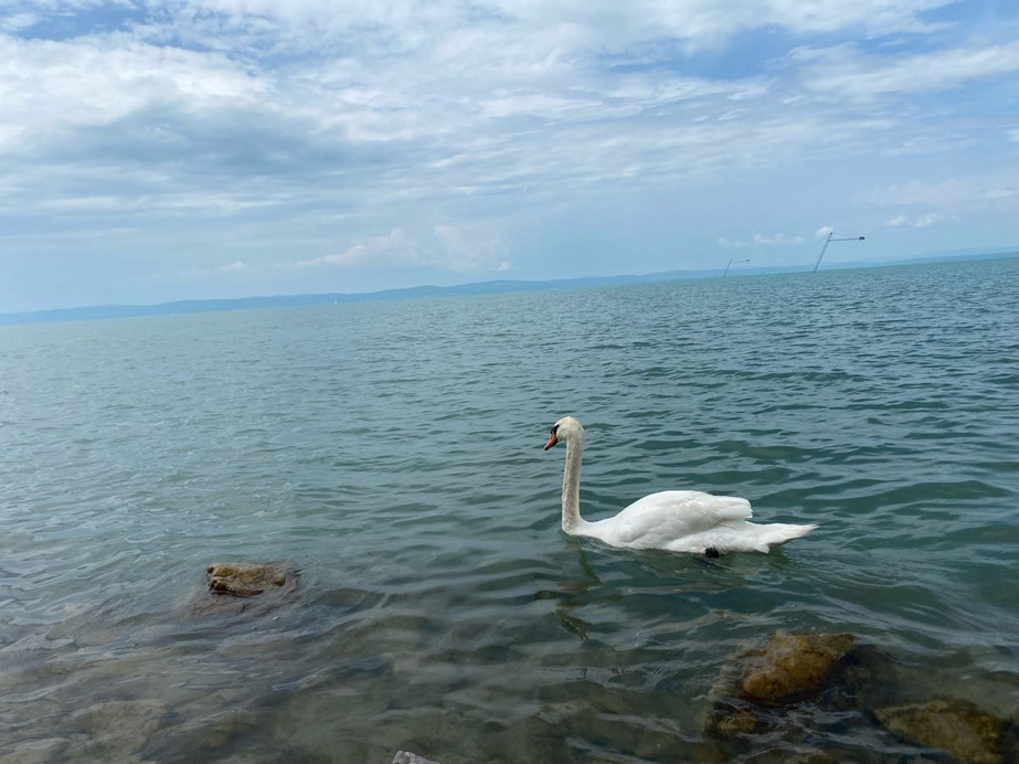 Siófok
