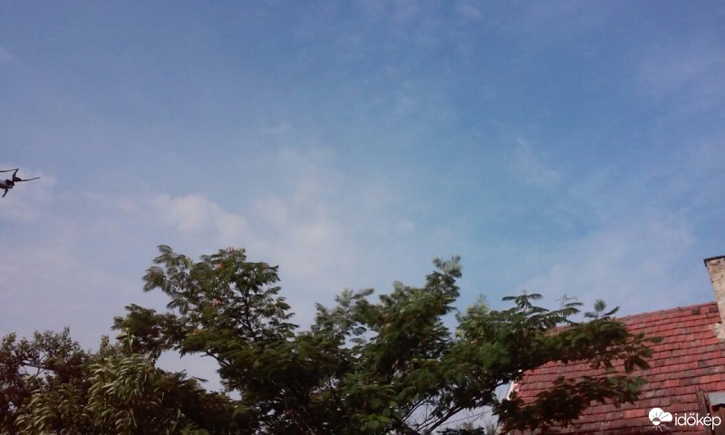 Homorúd