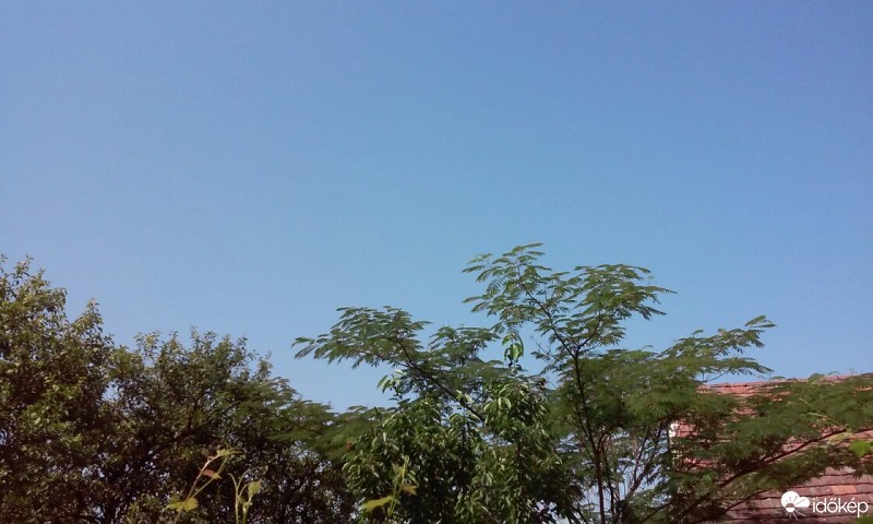 Homorúd