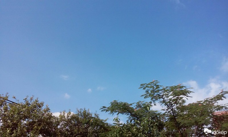 Homorúd