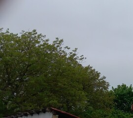 Homorúd