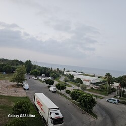 Tilkiler