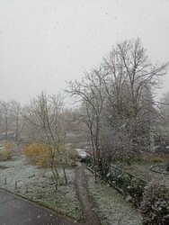 Nyíregyháza