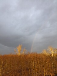 Tiszabezdéd