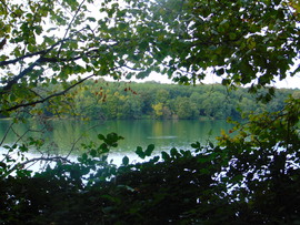 Deseda tó...őszi nyugalom