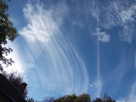 "Óriás medúza..."