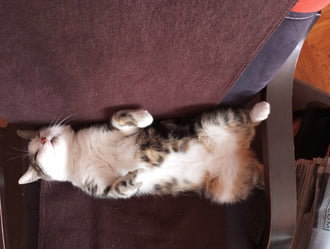 Azért csak jobb ilyen időben a meleg szobában...