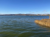 Mai napon megérte a Velencei-tó partján sétálni, napos idő tiszta víz a mólóról