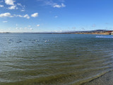 Mai napon csodálatos napos idő volt, a Velencei tó vize is kitisztult 