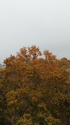 Pécs