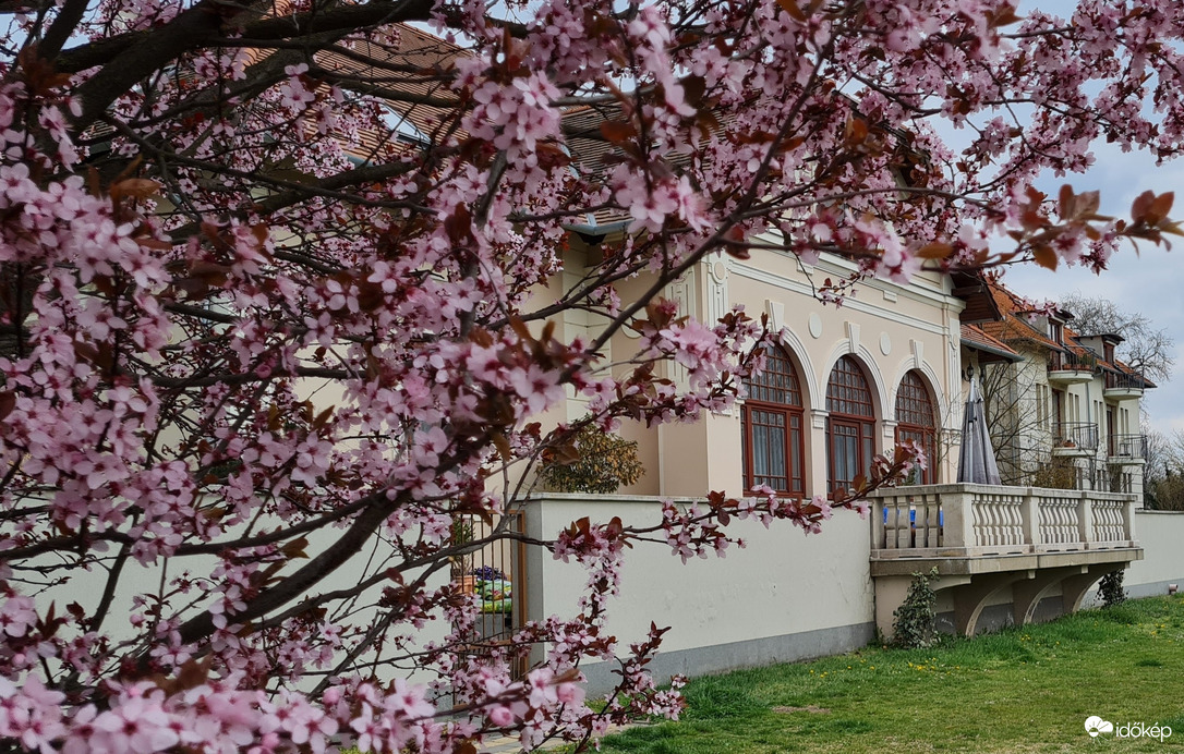Visszatért a tavasz