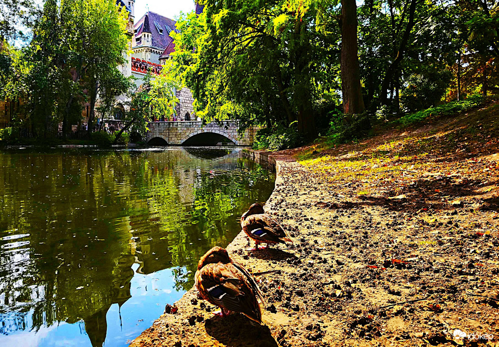 Pihenő