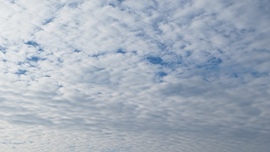 Vác