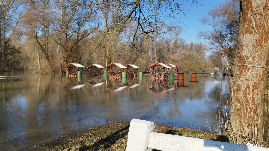 A Tisza Tiszaújvárosnál 2
