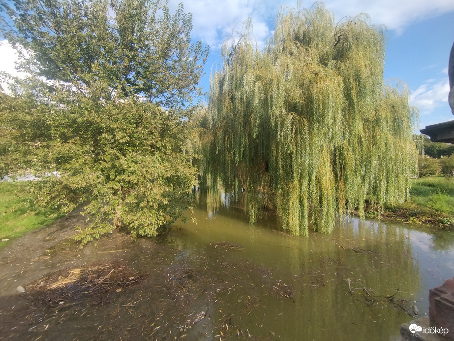 Vác