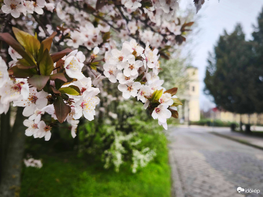 Vác