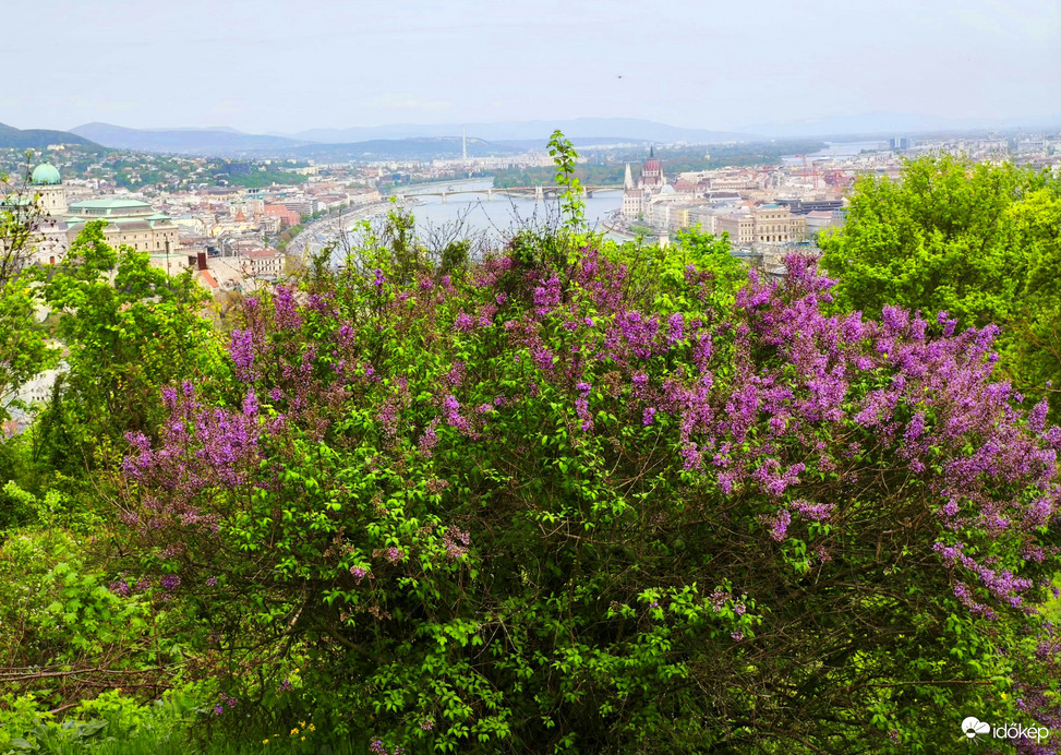 Budapest
