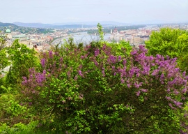 Budapest