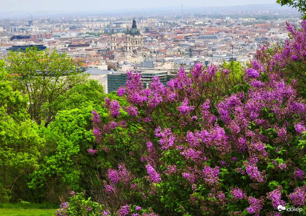 Budapest