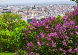 Budapest