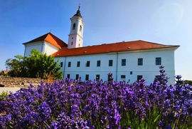 Vác