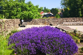 Vác