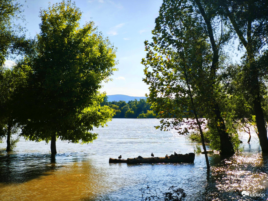 Vác
