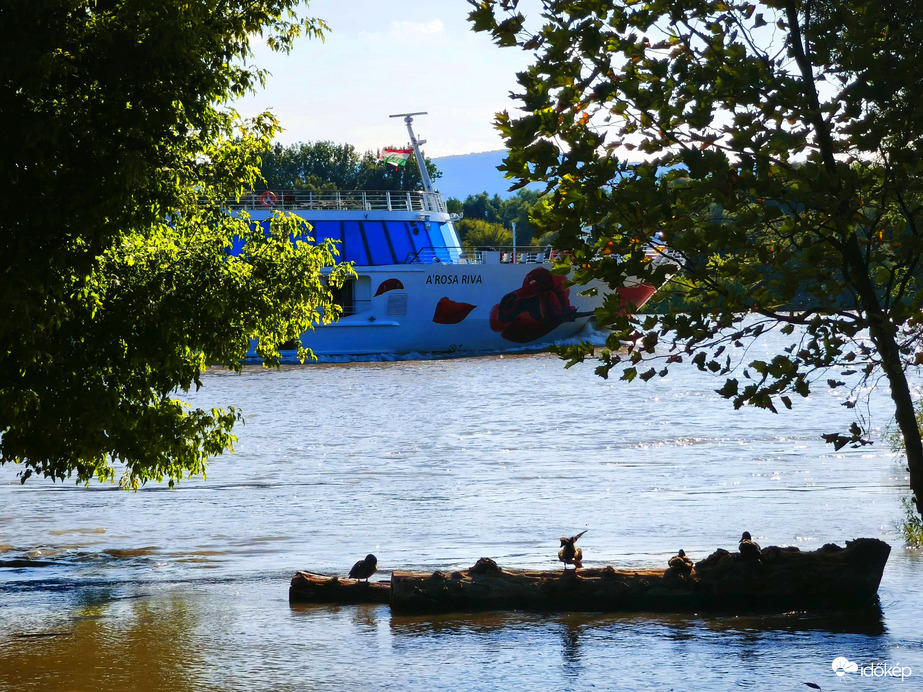 Vác
