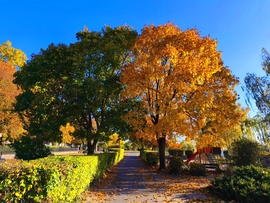 Vác