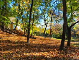 Vác