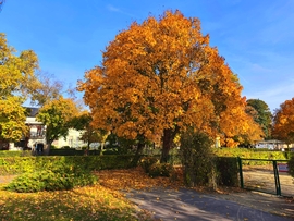 Vác