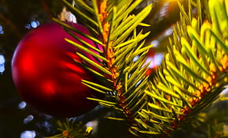 Kellemes Ünnepeket Kívánok!