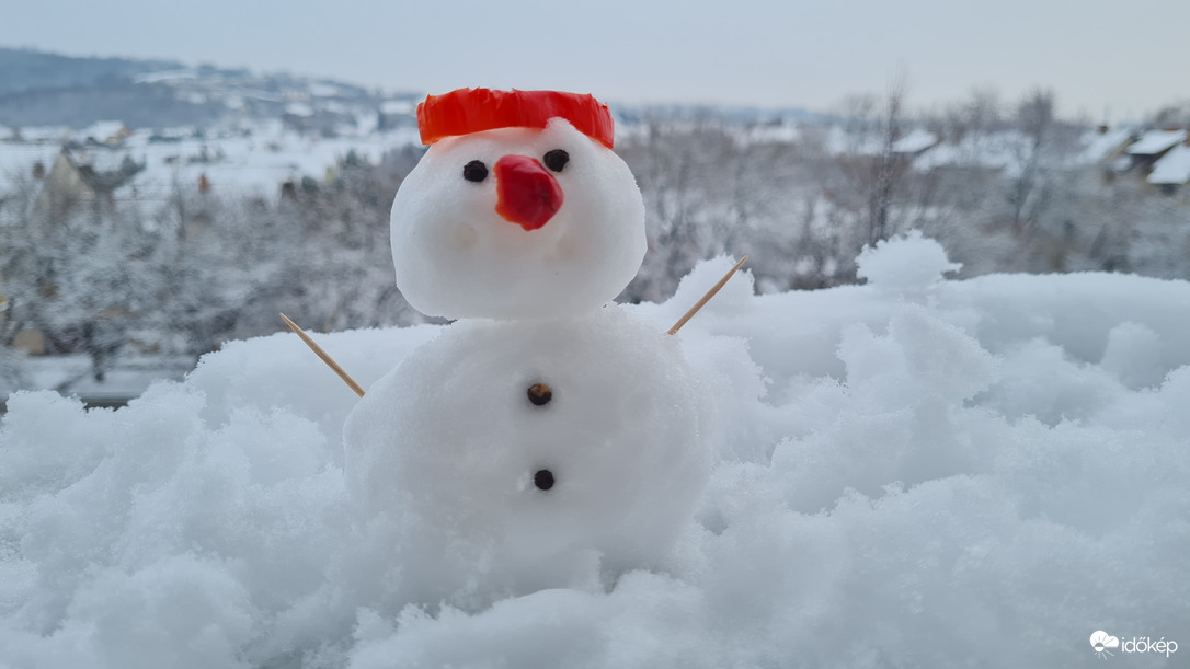 Mini hóember (2021)