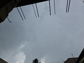 Káva