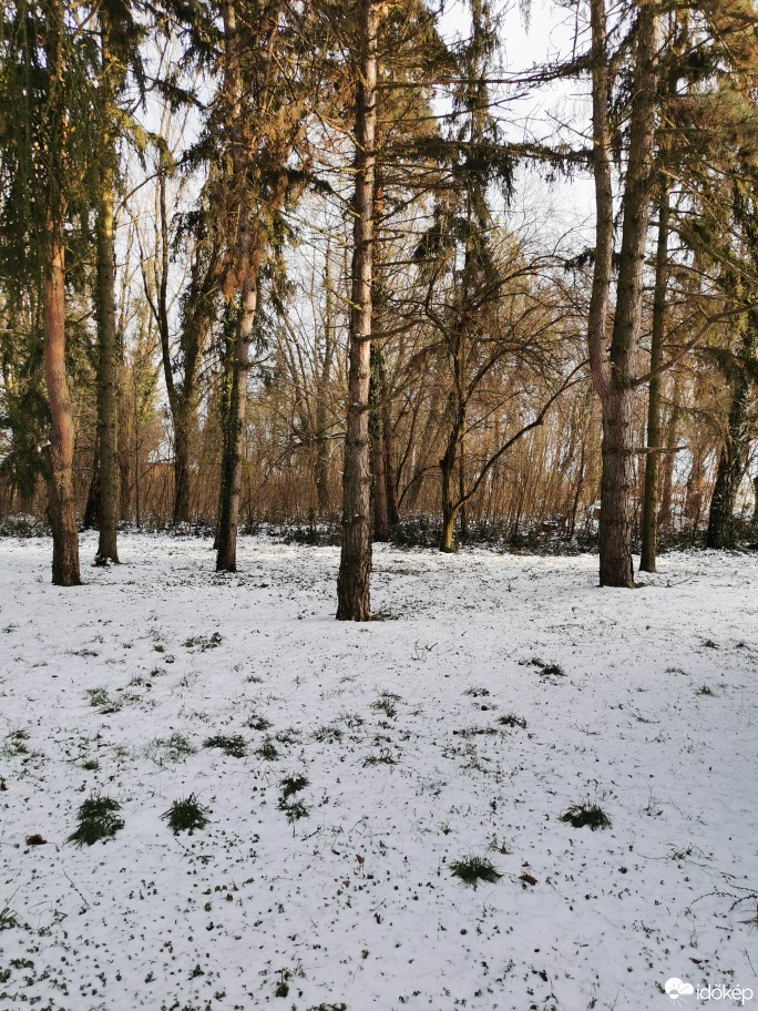 Nyíregyháza