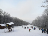 2019.01.12 Tokaj Nagy Kopasz hegy 11-12 cm hó