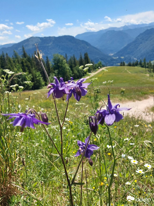 Mariazell bürgenalpe